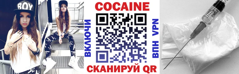 Купить закладки  Серафимович  Cocaine Fish Scale 