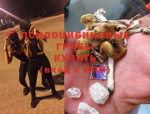 таблы Протвино
