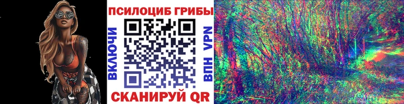 Галлюциногенные грибы Psilocybe  Купить где  Серафимович 